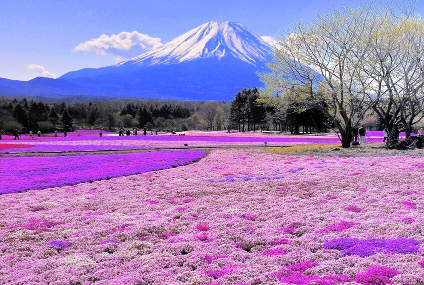 富士山