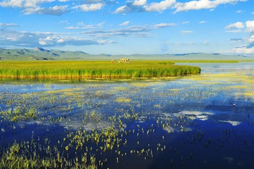 若尔盖大草原、九曲花湖环线幻影三日游